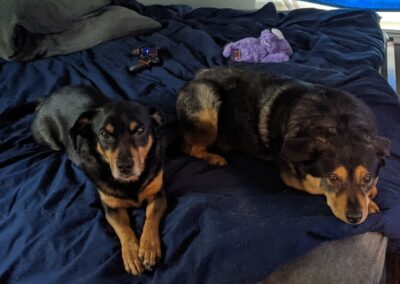 Harper & Casey